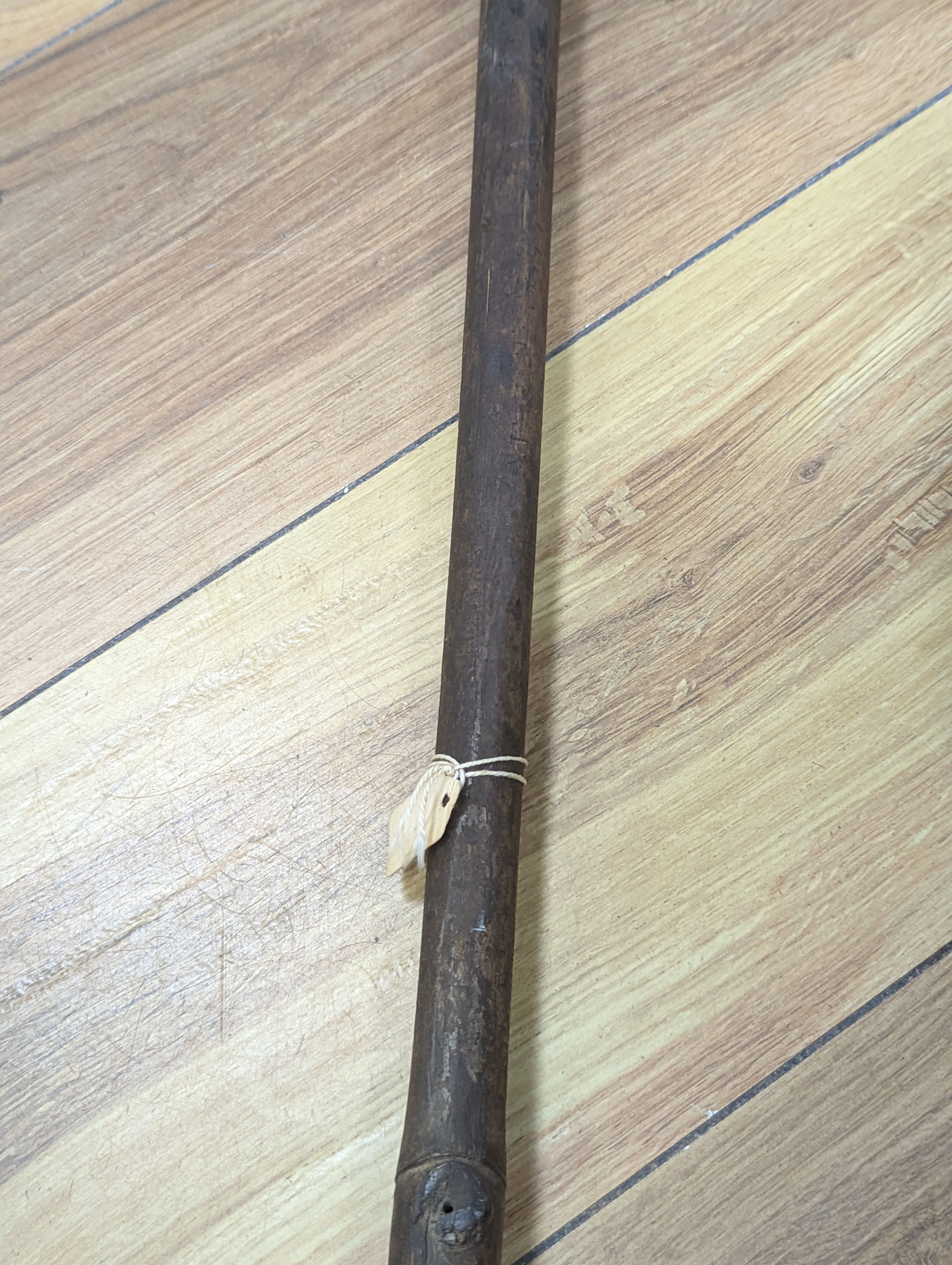 Two East Africa, Transvaal (Zululand) spears, 236cm